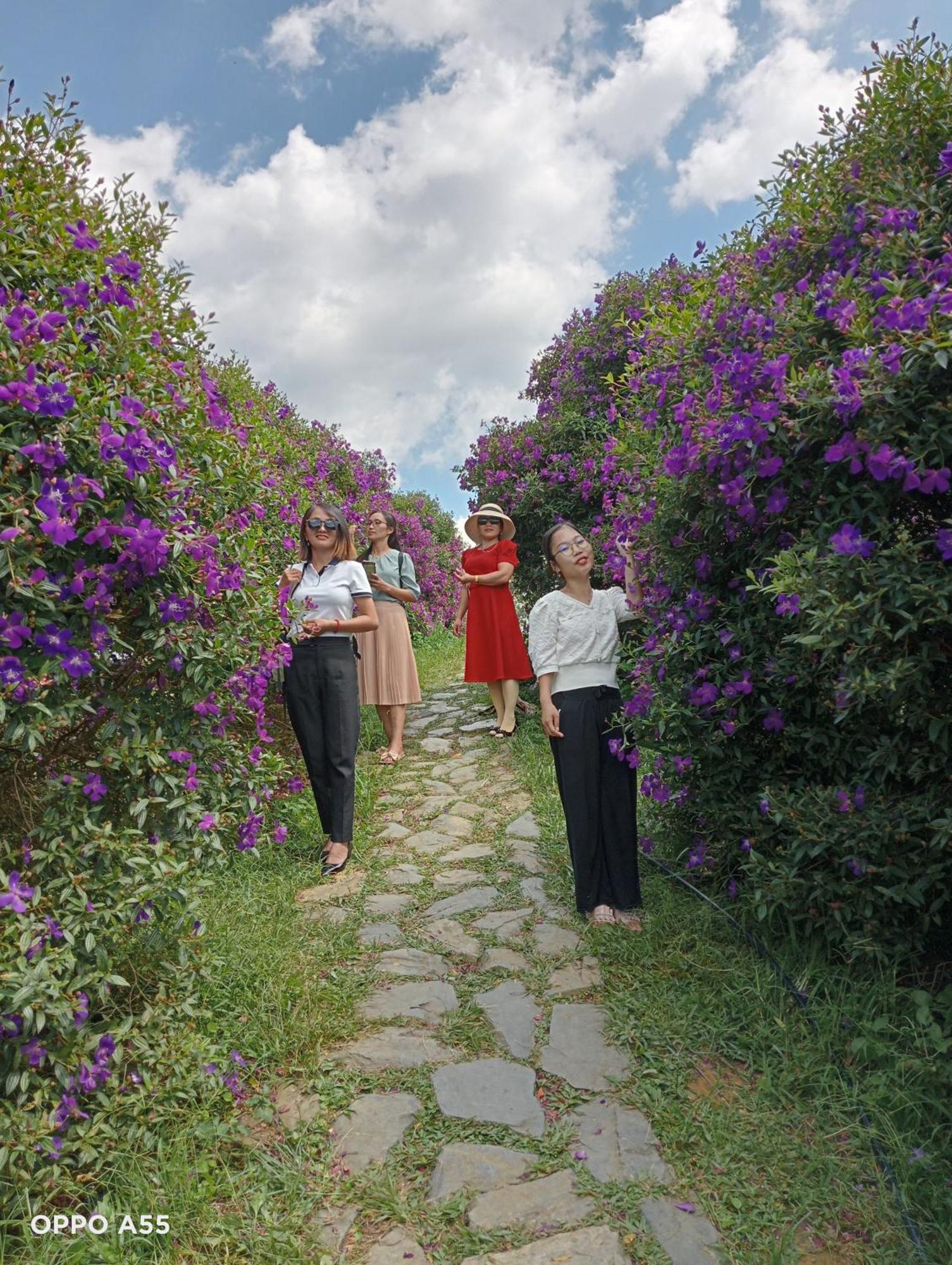 Bac Kan Hoa Lan Hotel מראה חיצוני תמונה